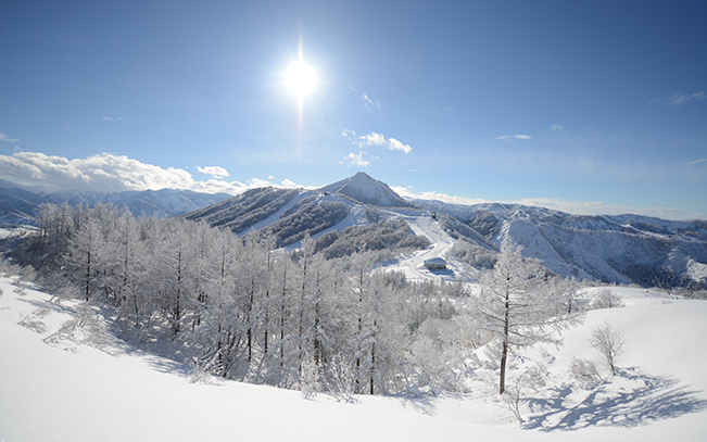 舞子滑雪度假村 JR新幹線
